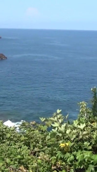 Resort Escape with 32-letnia mężatka Rin - 1