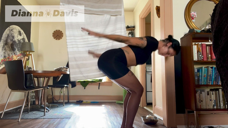 Dianna Davis: Speed Yoga