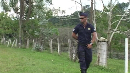 Crunch Boy: Scopata da un latino sexy nella foresta cruising