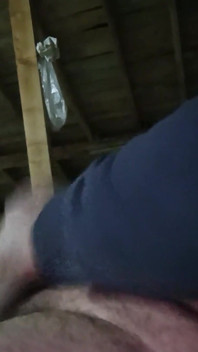 Paternidade goza em uma xícara de chá