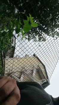 Телевизионные эпизоды с настоящей возбужденной мачехой дези