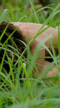 Premature ejaculation control