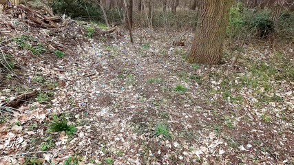 Bouncy Tits Action: In topless aspetta il suo schiaffi sulle tette