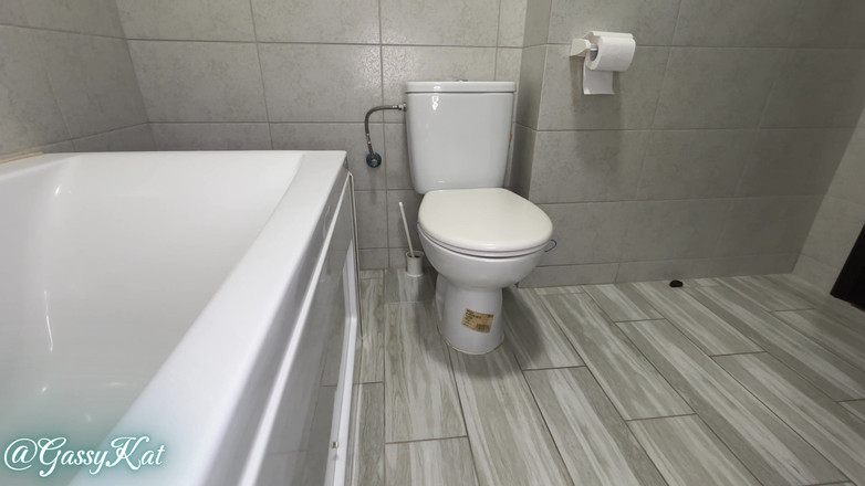 GassyKat: दैनिक शौचालय एपिसोड 27