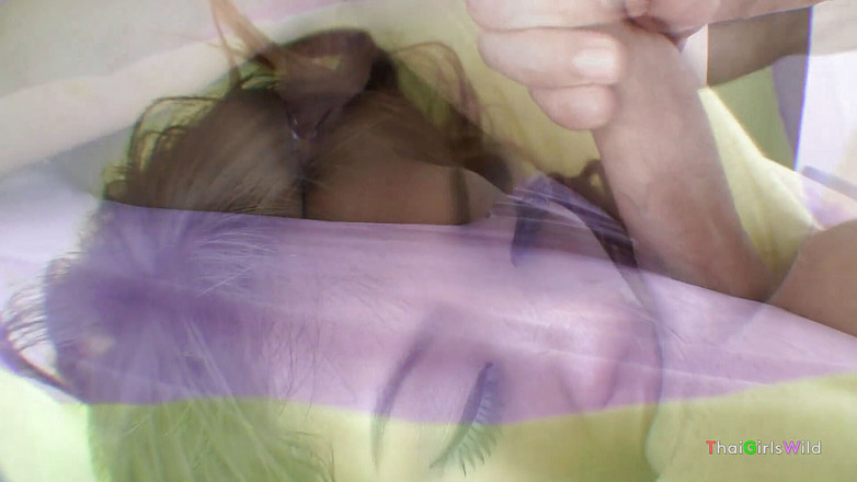 Thai Girls Wild: Asiatisches mädchen sabbert schwanz und bekommt etwas sperma