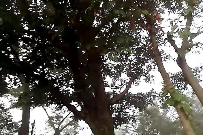 Gangbang straight: Мальчика Приянсу мастурбировали в полях