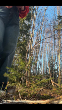 In the Last Few Days I've Been Traveling All Over the Russian North