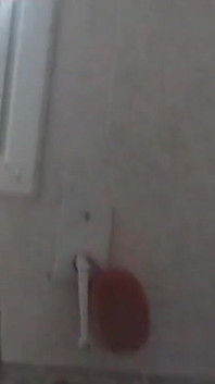 Sexy Video