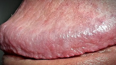 Leonardo-1974: Kencing pada Testicles
