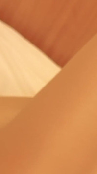 반짝이는 팬티스타킹