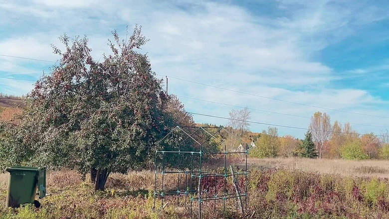 sweethanajapanese: Corpo Perfetto Piccola Piccola Hana