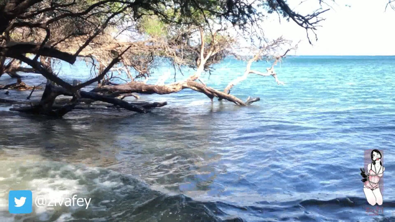 Ziva Fey: Ziva Fey - Umezindu-se complet îmbrăcată în ocean