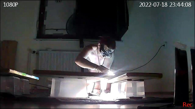 KittieNoOne: Lucrare de artă goală cu un dop