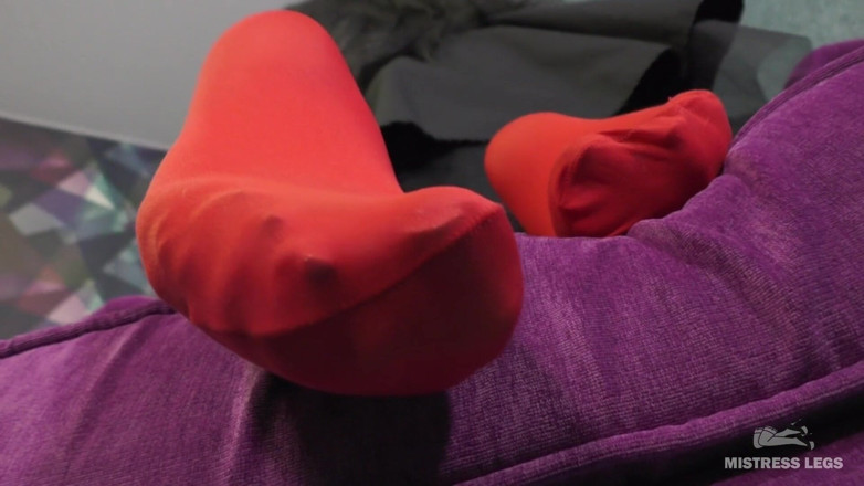 Mistress Legs: Mestra Pernas em meia-calça colorida sexy
