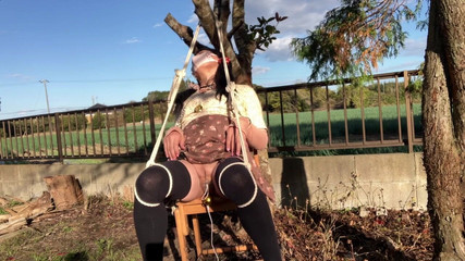 megu2002: Il gioco a rotore Trainer's Direct Training No31 Dà una...