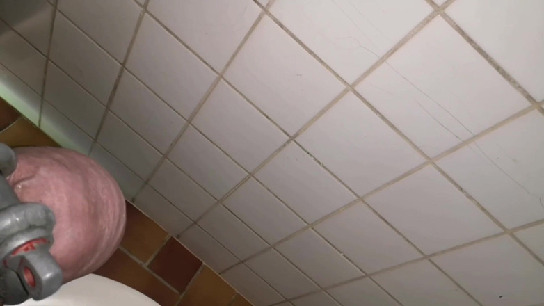 Monster_Meat_: Branlette dans les toilettes