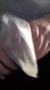 Cumshot in Zipper at Work