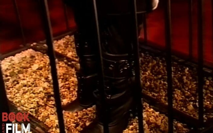 Dark side of domination BDSM: Stone Obsession the Barbra Confession.