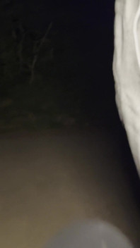 Knullad och sprutad av joggare random