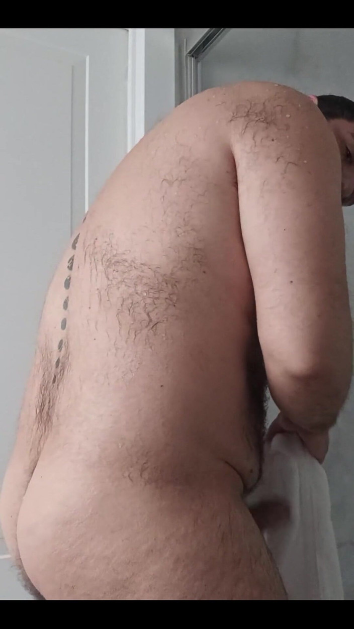 Ulysses the bear: Secando