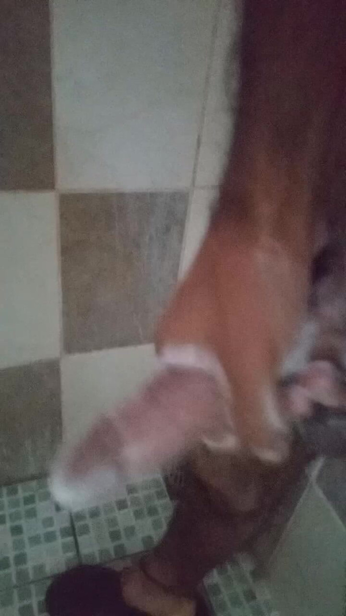 Cute boy jerks off: Boy Shaves His Balls and Masturbates