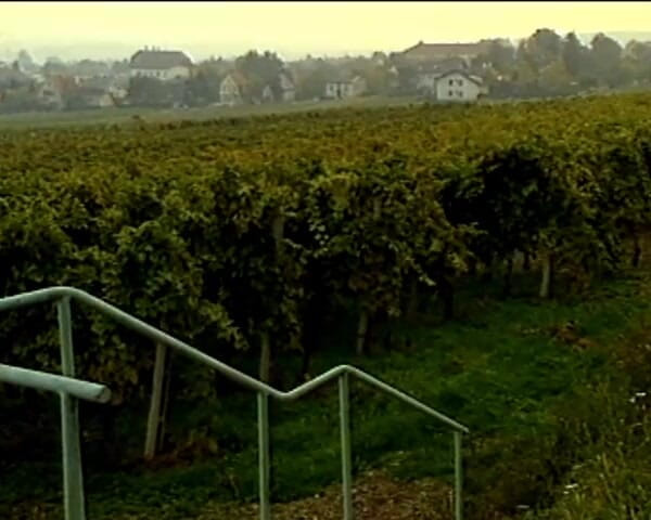 GERMAN PORN CLASSICS: Wiedeńskie żarzące się węgle, część 2