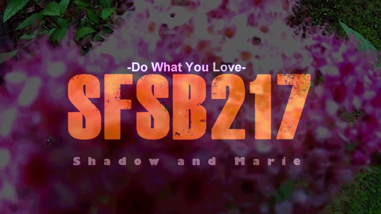 Shadow And Marie: ジューシーなマンコがメッシュストッキングを履いています後背位中出し