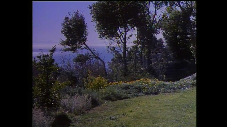 Rocco Siffredi and Friends: रोक्को सिफ़्रेदी: युवा और बड़ा - एपिसोड 4