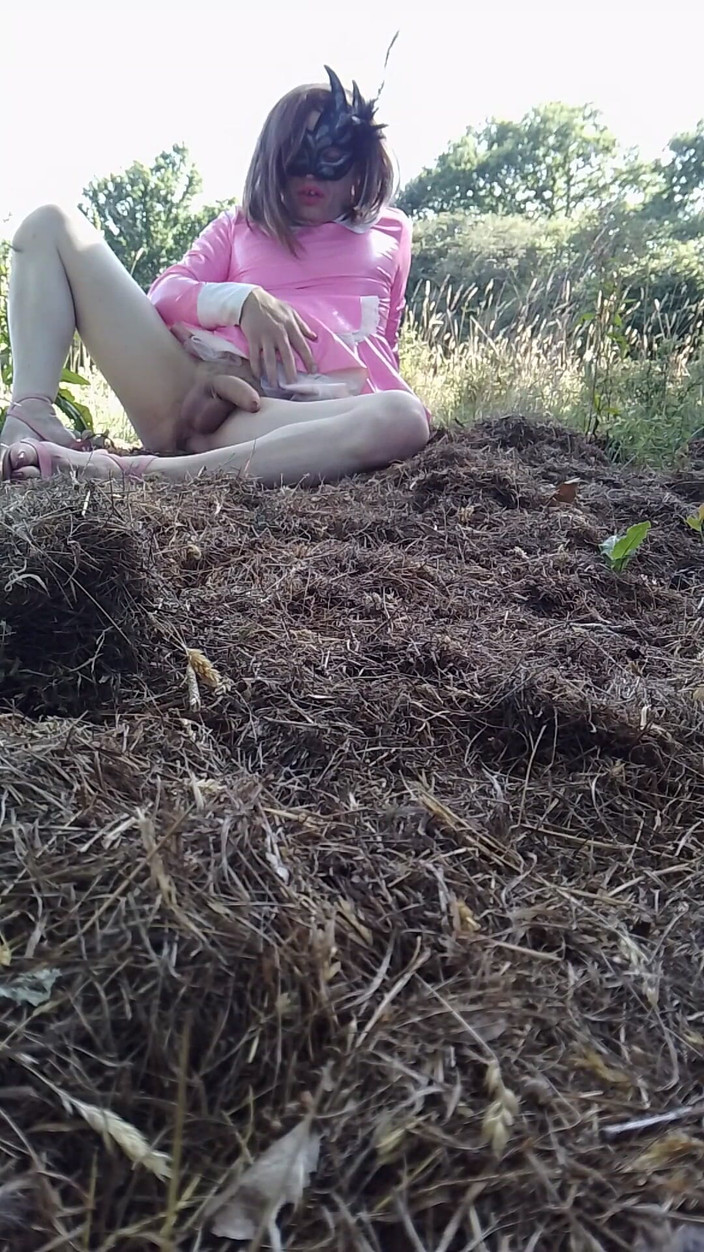 Lilly Disgrace: Сіссі Ліллі дрочить у полі мрії