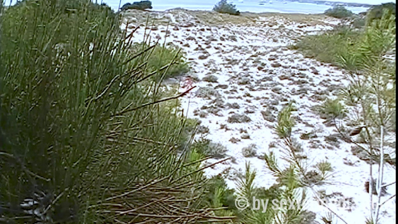 Sextermedia by Pete: MILF Telanjang Seksi Di Pantai Nudist