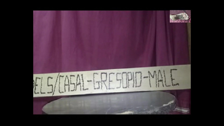 Casal Gresopio Male: グレソピオと裸足