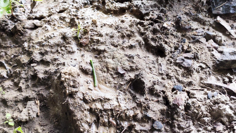 Adele Amber: La pluie dans la nature