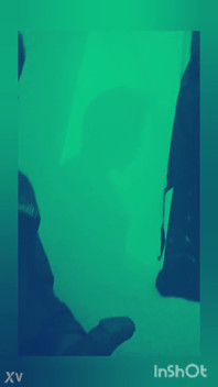 Intro Video