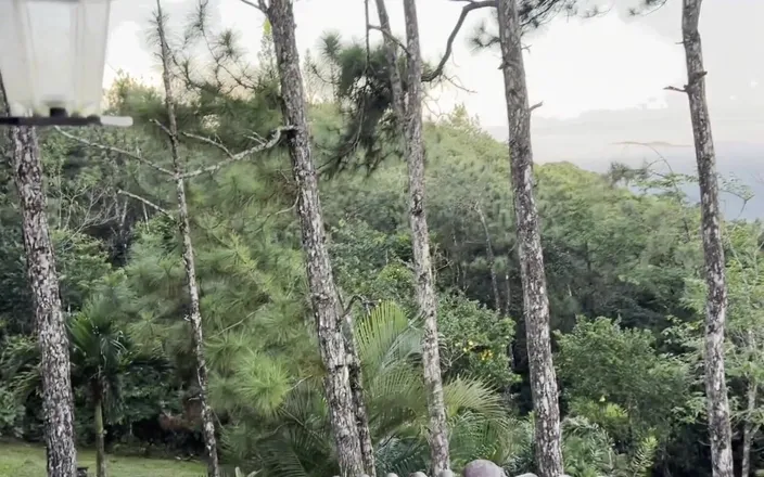 Leyne Rodriguez: Having orgasm with the view