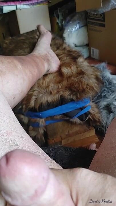 BigManShaman: Tugging the Cock