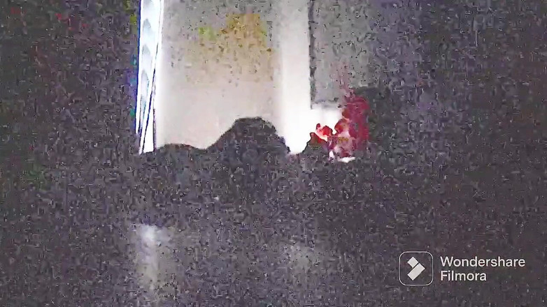 Tetto Michel: Mi Primo Hetero Me Coge En Mi Casa Por Primera...