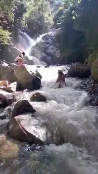 Sexy Couple Wants to Have Sex in the Jungle