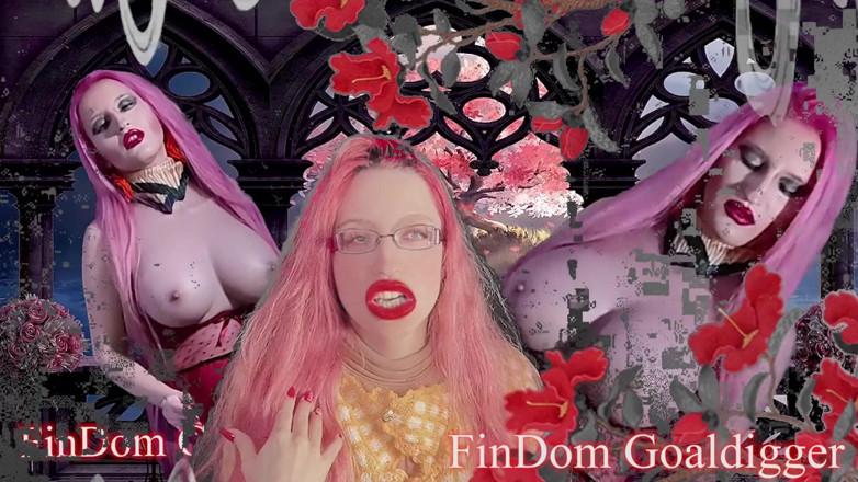FinDom Goaldigger: Hamba untuk transformasi melancap!