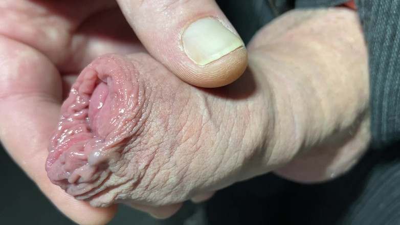 Foreskinguy: Prepuzio lento si masturba con una grossa testa di cazzo