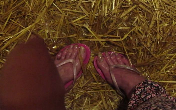 Barefoot Stables: 小便厩舎の足