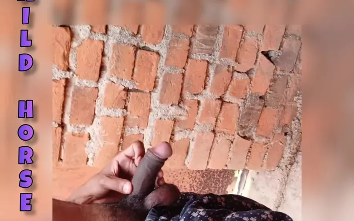 Wild Horse: Indian gay outdoor fucking