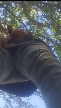 Voglio solo fare sesso con te, non innamorarti di me