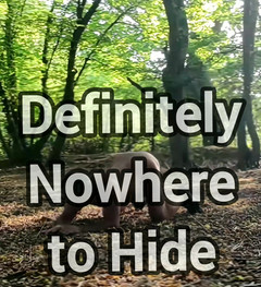 MaleModel: Arsch im öffentlichen Wald