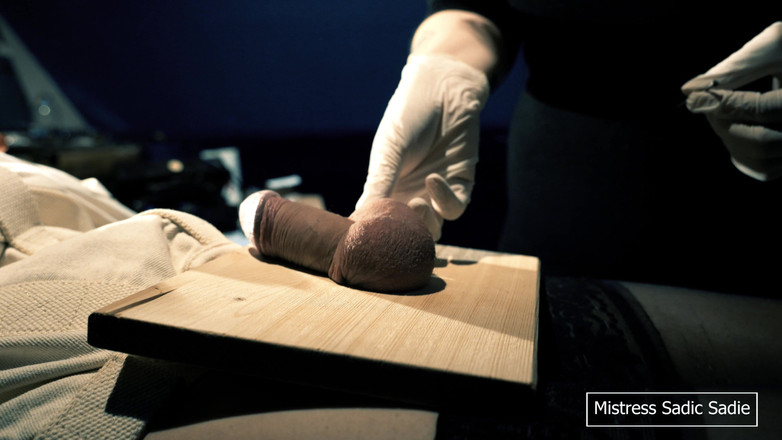 Sadic Sadie: Pertama Kali Memaku Bola Dan Jarum Melalui Biji Ek Anda.