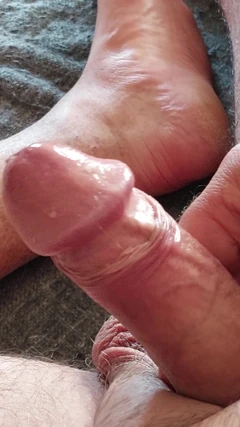 Penis fericit