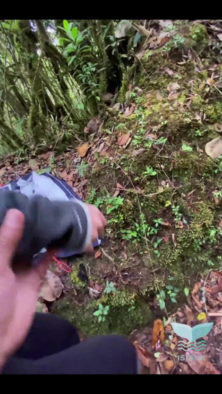 Isis Sun: Je baise un partenaire d’étude dans la forêt et je...