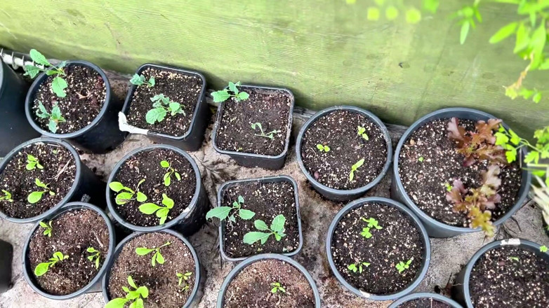 Kinky mary: Naked in the Garden: Private Patio Tease, Pee for Plant