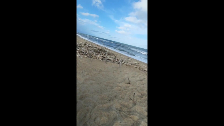 Novinha Insaciavel: Si jalang memberikan blowjob di pantai dan memberikan pantatnya