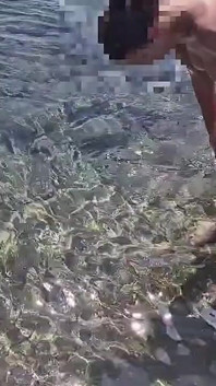 Teşhir eden göğüsler ve amcık derlemesi