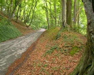 Deutsche Frauen: Rothaarige deutsche frau wird von drei zufälligen typen im wald...
